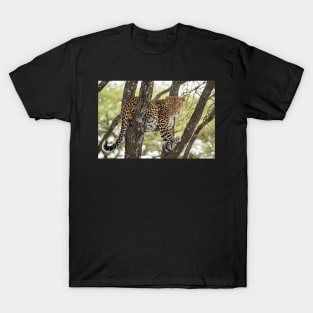 Leopard In The Wild, Tanzania T-Shirt